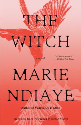 The witch : a novel / Marie NDiaye ; translated from the French by Jordan Stump