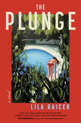 The plunge : a novel / Lila Raicek