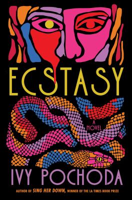 Ecstasy : a novel / Ivy Pochoda