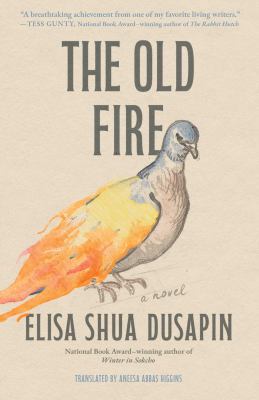 The old fire : a novel / Elisa Shua Dusapin ; translated by Aneesa Abbas Higgins