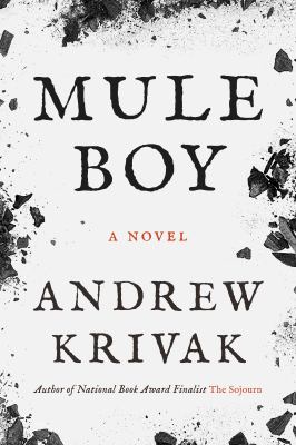 Mule boy / Andrew Krivak