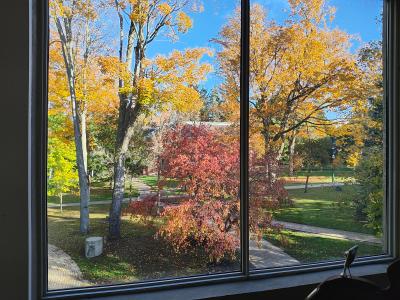 View from Jordan Study Area