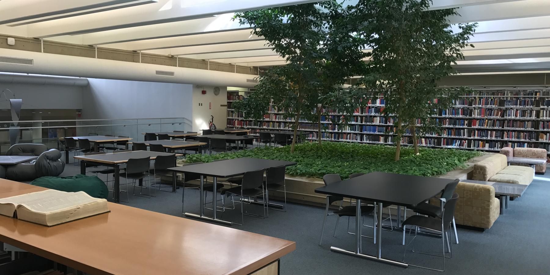 Tree Room: Study Area