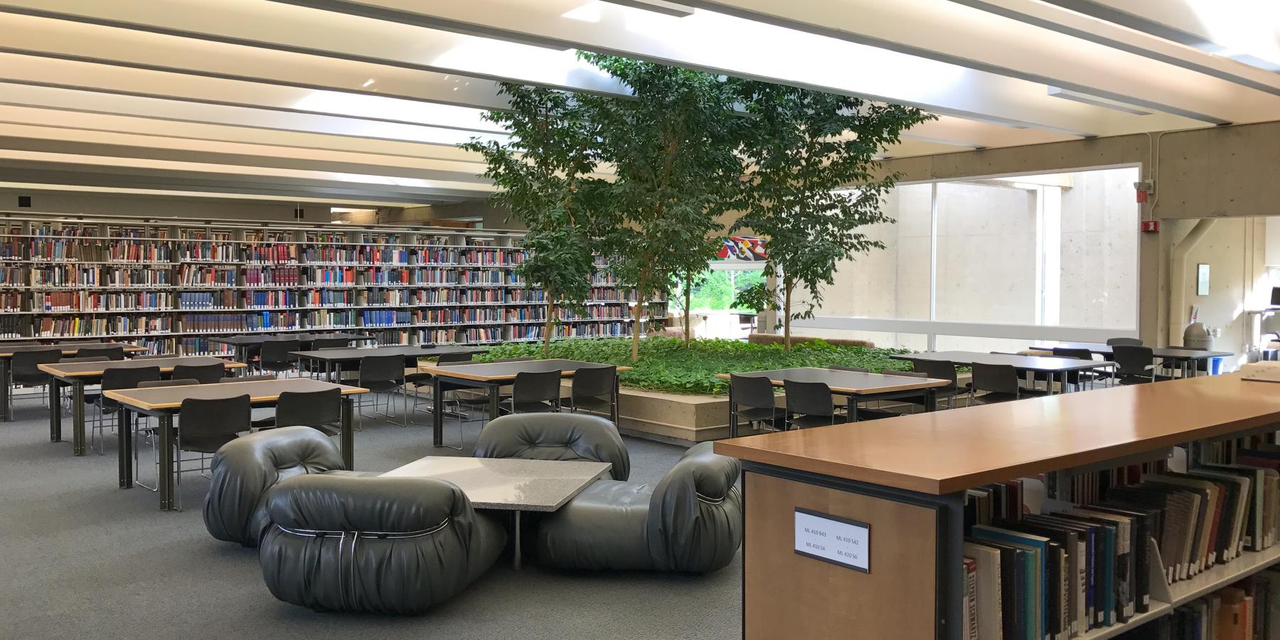 Tree Room: Study Area