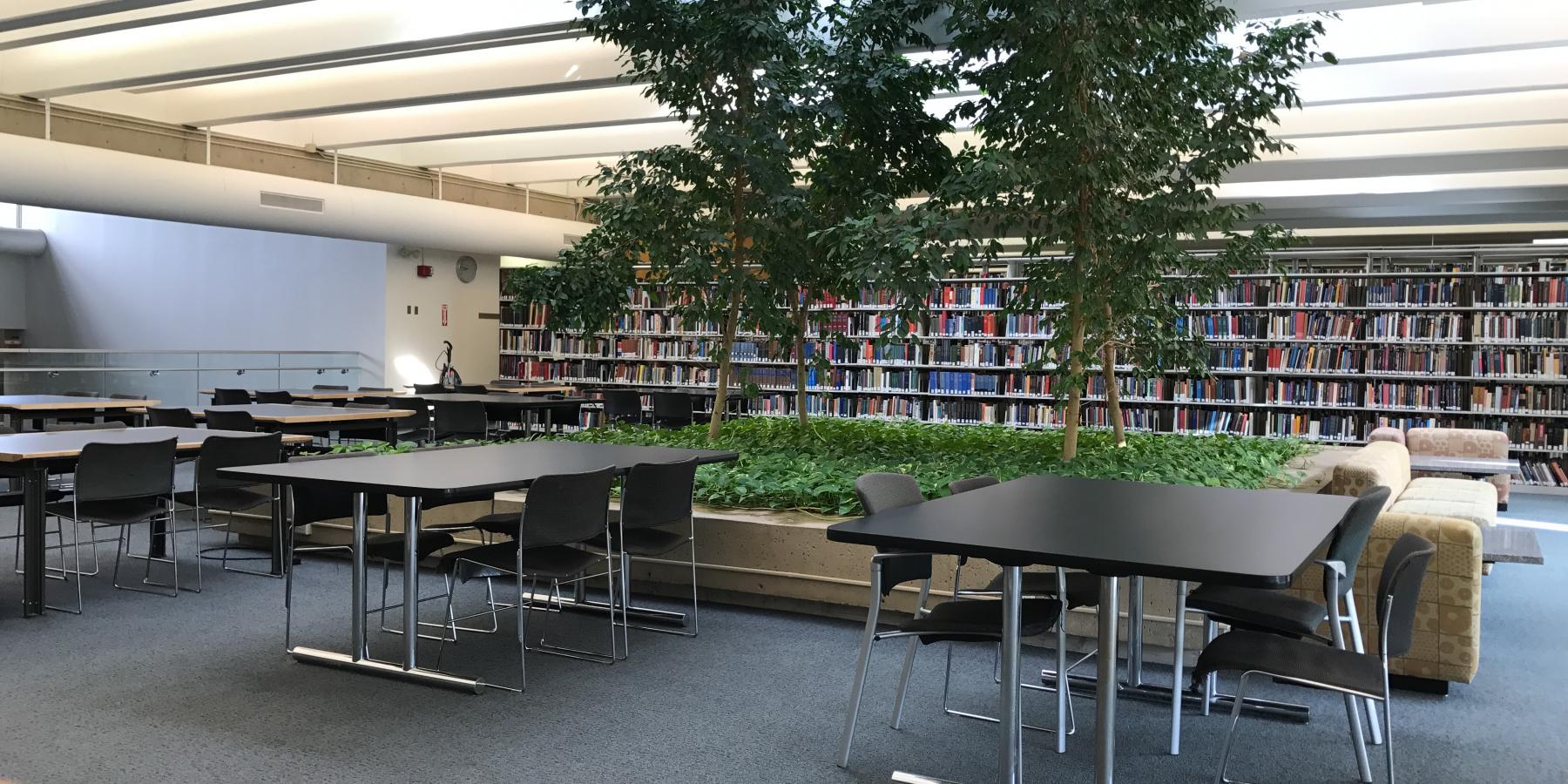 Tree Room: Study Area