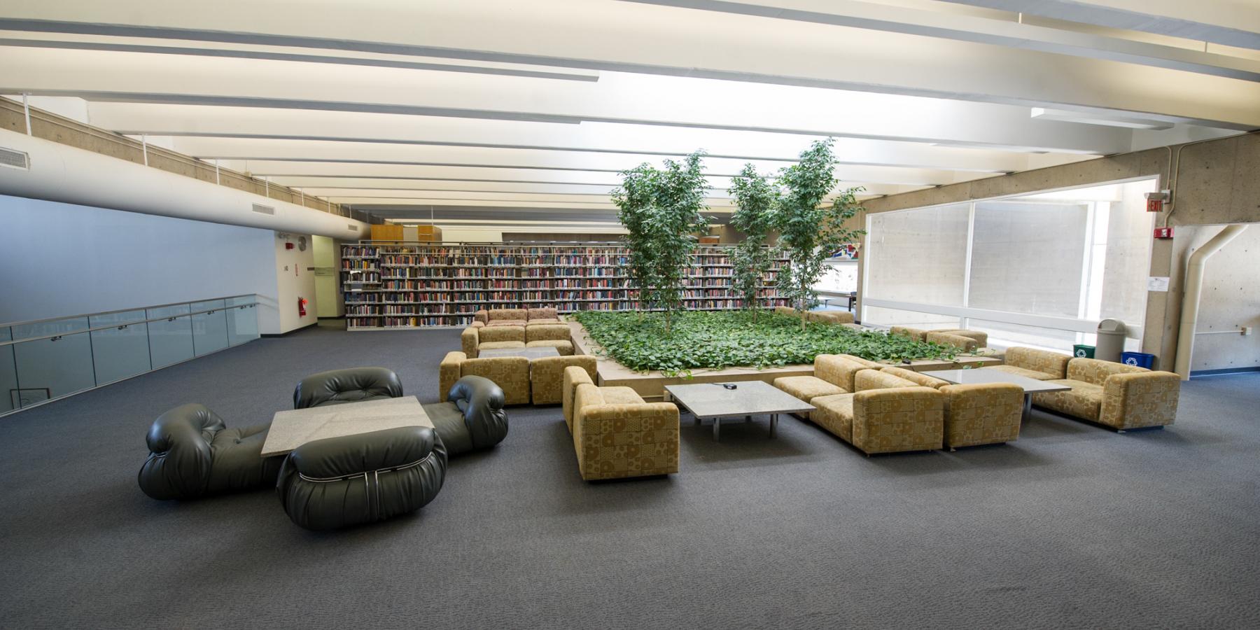 Tree Room: Study Area