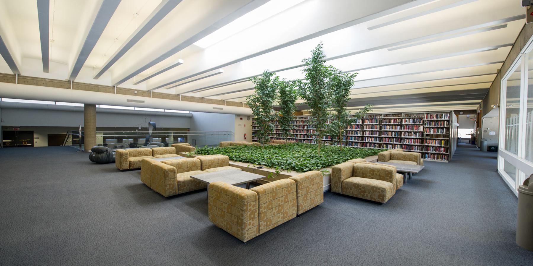 Tree Room: Study Area