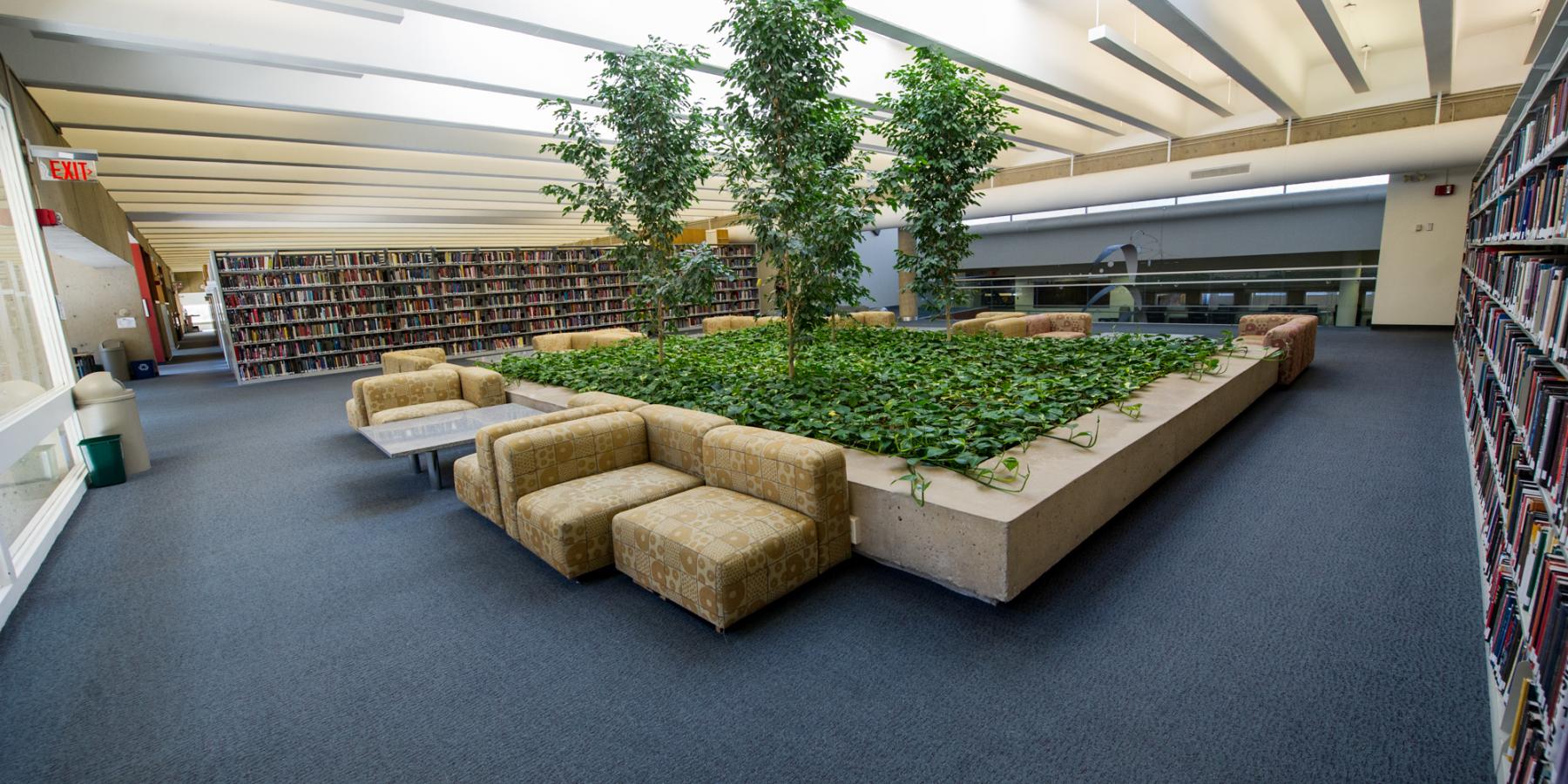 Tree Room: Study Area