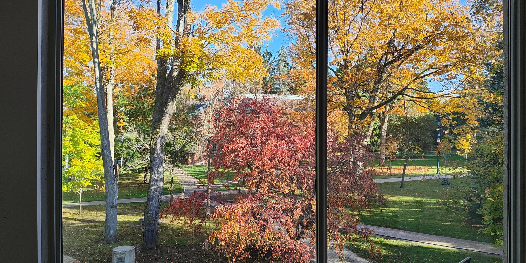 View from Jordan Study Area