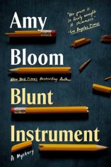 Blunt instrument / Amy Bloom