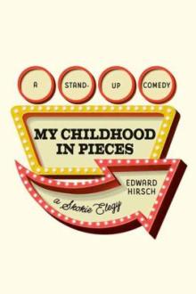 My childhood in pieces : a stand-up comedy, a Skokie elegy / Edward Hirsch