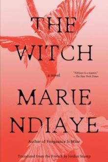 The witch : a novel / Marie NDiaye ; translated from the French by Jordan Stump