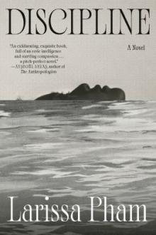 Discipline : a novel / Larissa Pham