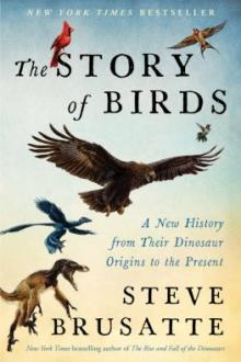 The story of birds : a new history from their dinosaur origins to the present / Steve Brusatte ; with illustrations by Cordula Marks Venters, Sarah Shelley, and Todd Marshall ; and photographs by Daniel Field
