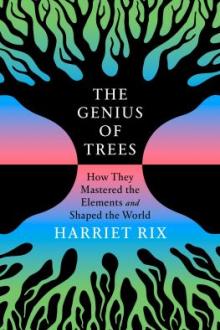 The genius of trees : how they mastered the elements and shaped the world / Harriet Rix
