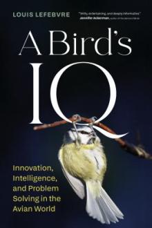A bird's IQ : innovation, intelligence, and problem solving in the avian world / Louis Lefebvre ; translated by Pablo Strauss