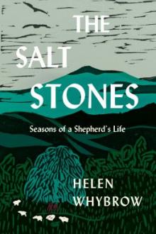 The salt stones : seasons of a shepherd&#039;s life / Helen Whybrow