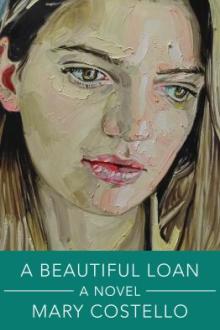 A beautiful loan : a novel / Mary Costello