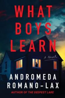 What boys learn / Andromeda Romano-Lax