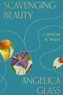 Scavenging beauty : a memoir in walks / Angelica Glass