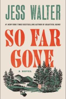 So far gone : a novel / Jess Walter