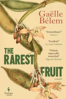 The rarest fruit : a novel / Gaëlle Bélem, translation from the French by Hildegarde Serle