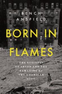 Born in flames : the business of arson and the remaking of the American city / Bench Ansfield