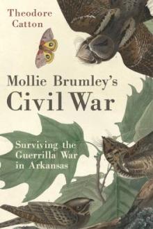 Mollie Brumley's Civil War : surviving the guerrilla war in Arkansas / Theodore Catton