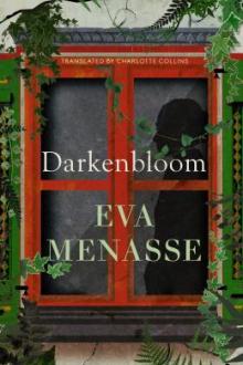 Darkenbloom / Eva Menasse ; translated by Charlotte Collins
