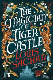 The magician of tiger castle / Louis Sachar