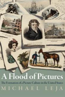 A flood of pictures : The formation of a picture culture in the United States / Michael Leja