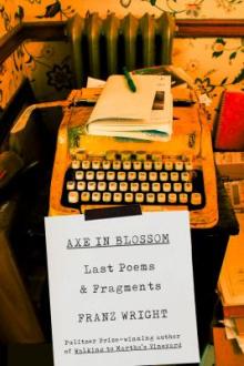 Axe in blossom : last poems &amp; fragments / Franz Wright
