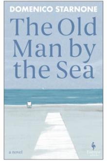 The old man by the sea / Domenico Starnone ; translated from the Italian by Oonagh Stransky