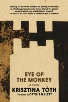 Eye of the monkey : a novel / Krisztina Tóth ; translated by Ottilie Mulzet