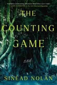 The counting game : a novel / Sinéad Nolan