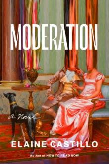 Moderation / Elaine Castillo