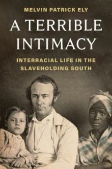 A terrible intimacy : interracial life in the slaveholding South / Melvin Patrick Ely