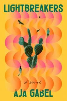 Lightbreakers : [a novel] / Aja Gabel