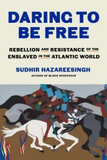Daring to be free : rebellion and resistance of the enslaved in the Atlantic world / Sudhir Hazareesingh