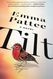 Tilt : a novel / Emma Pattee