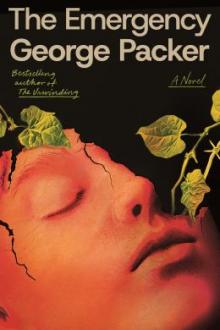 The emergency : a novel / George Packer