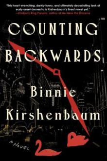 Counting backwards / Binnie Kirshenbaum