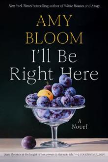 I&#039;ll be right here : a novel / Amy Bloom