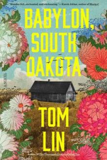 Babylon, South Dakota : a novel / Tom Lin