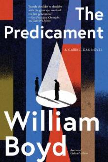 The predicament : a novel / William Boyd