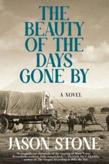 The beauty of the days gone by : a novel / Jason Stone