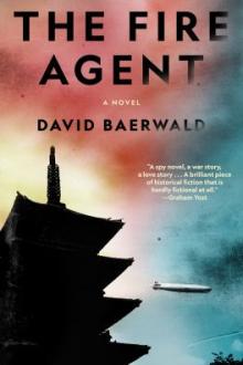 The fire agent : a novel / David Baerwald