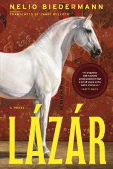Lázár / Nelio Biedermann ; translated from the German by Jamie Bulloch