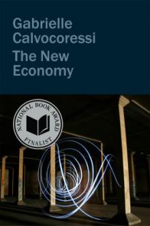 The new economy / Gabrielle Calvocoressi
