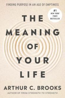 The meaning of your life : finding purpose in an age of emptiness / Arthur C. Brooks